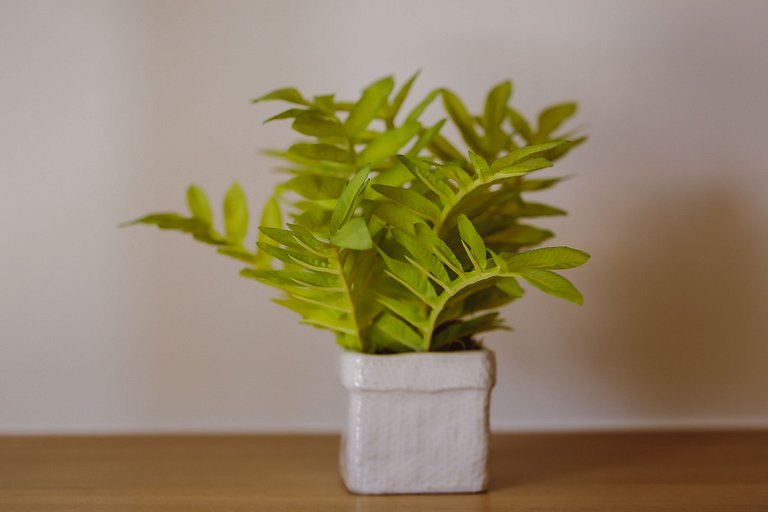 Flat Top, piscina, wifi 300mb, 100m da PRAIA